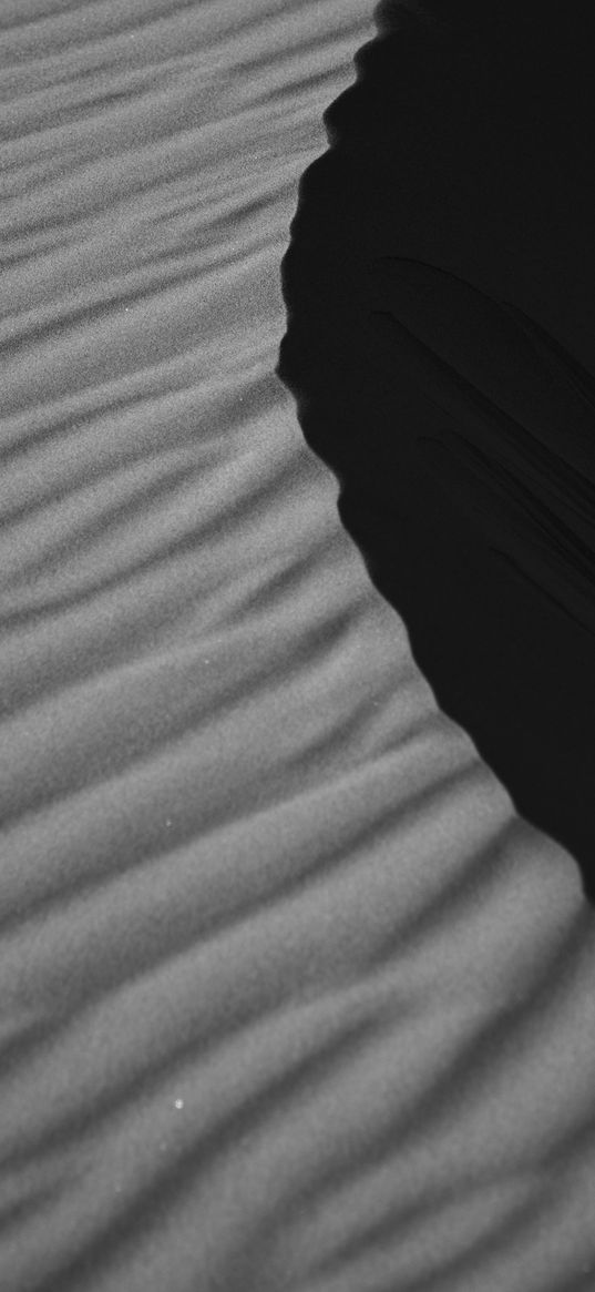 desert, dune, sand, black and white