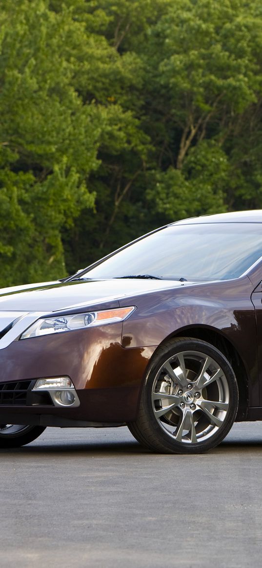 acura, tl, 2008, burgundy, side view, style, cars, trees