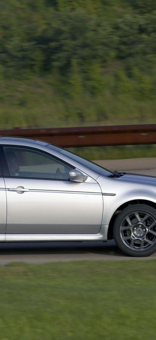 acura, tl, 2007, silver metallic, side view, style, cars, speed, nature, shrubs, grass