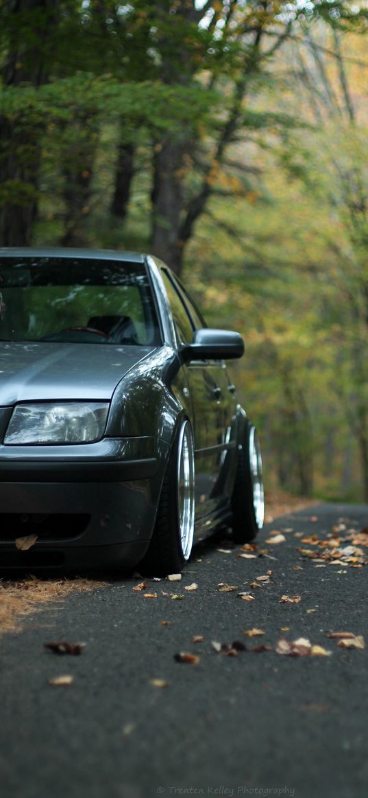 car, gray, tuning, road, fallen leaves