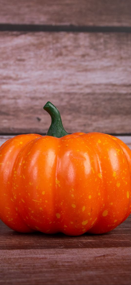 pumpkin, vegetable, autumn, orange