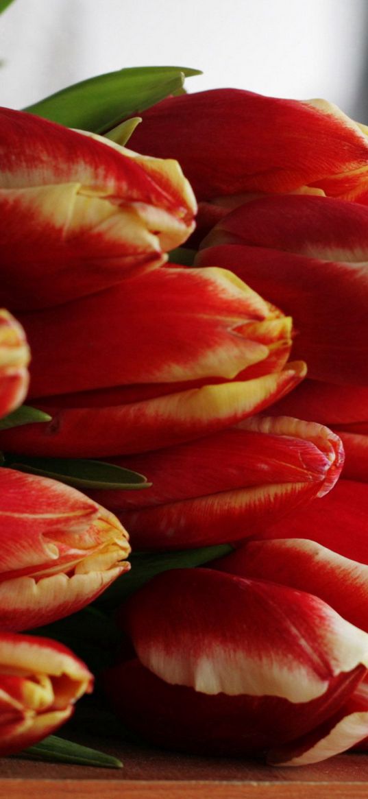 tulips, flowers, bouquet, buds, table