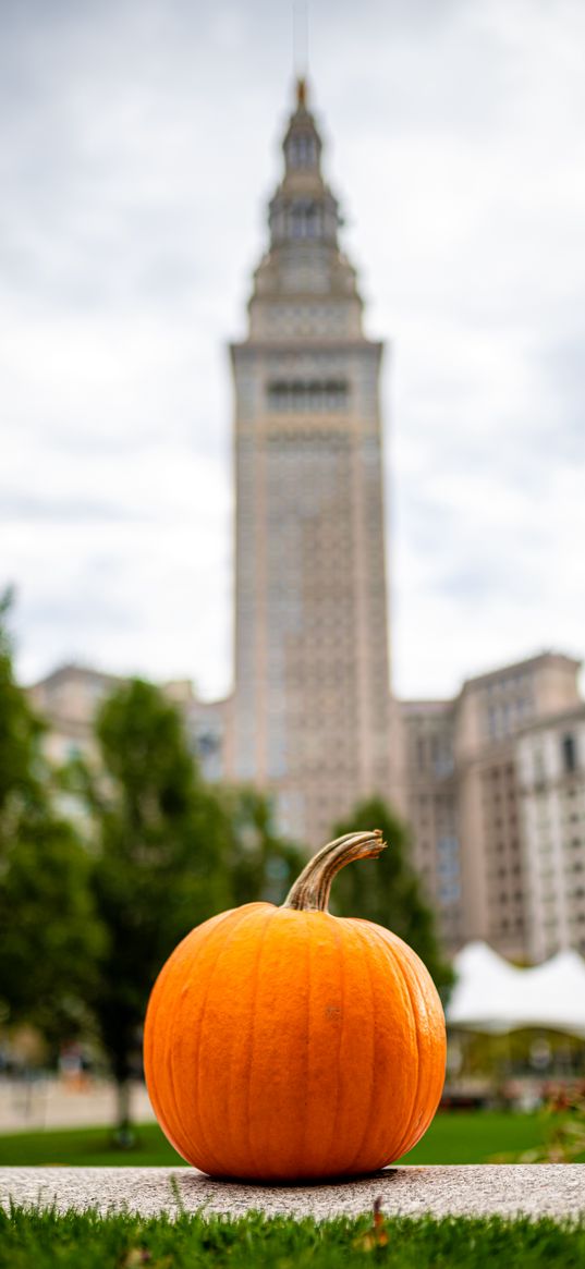 pumpkin, vegetable, buildings, blur, autumn