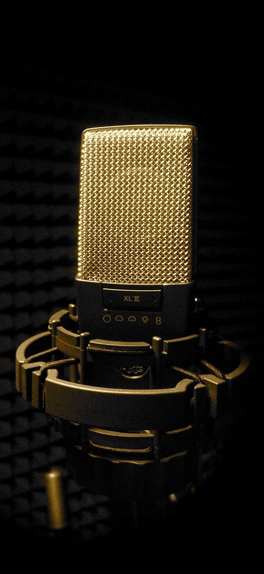 microphone, mesh, studio, music