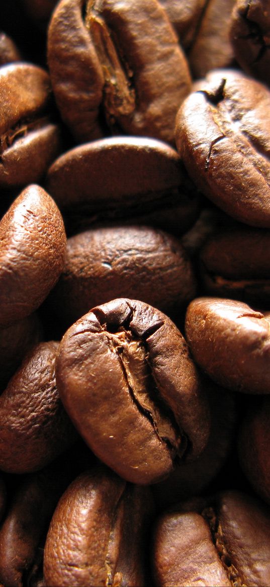 coffee beans, beans, roasting, coffee, brown