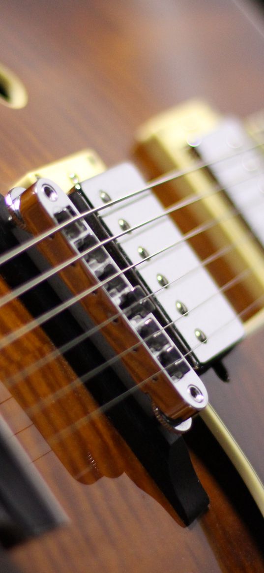 electric guitar, guitar, strings, music, brown