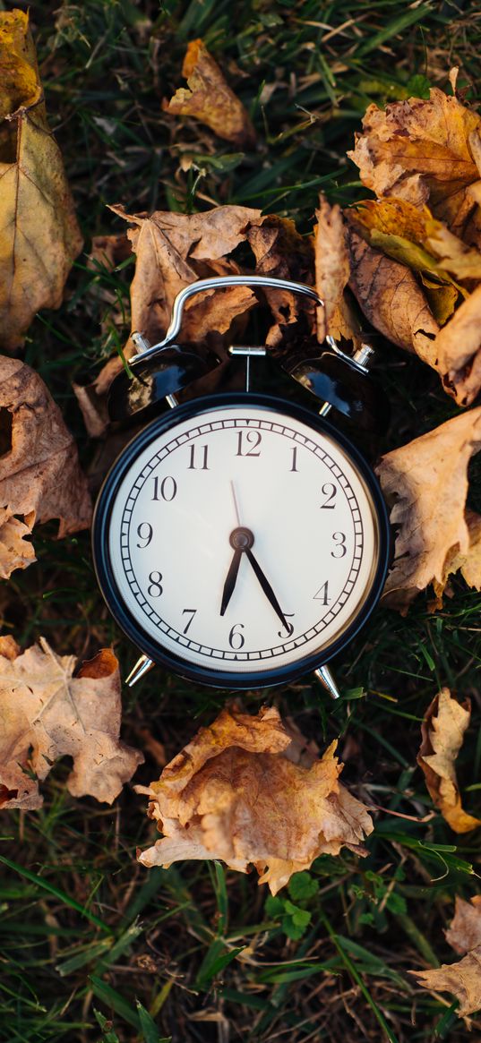 clock, alarm clock, time, leaves, autumn, aesthetics