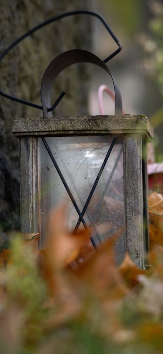 lantern, fallen leaves, autumn, aesthetics