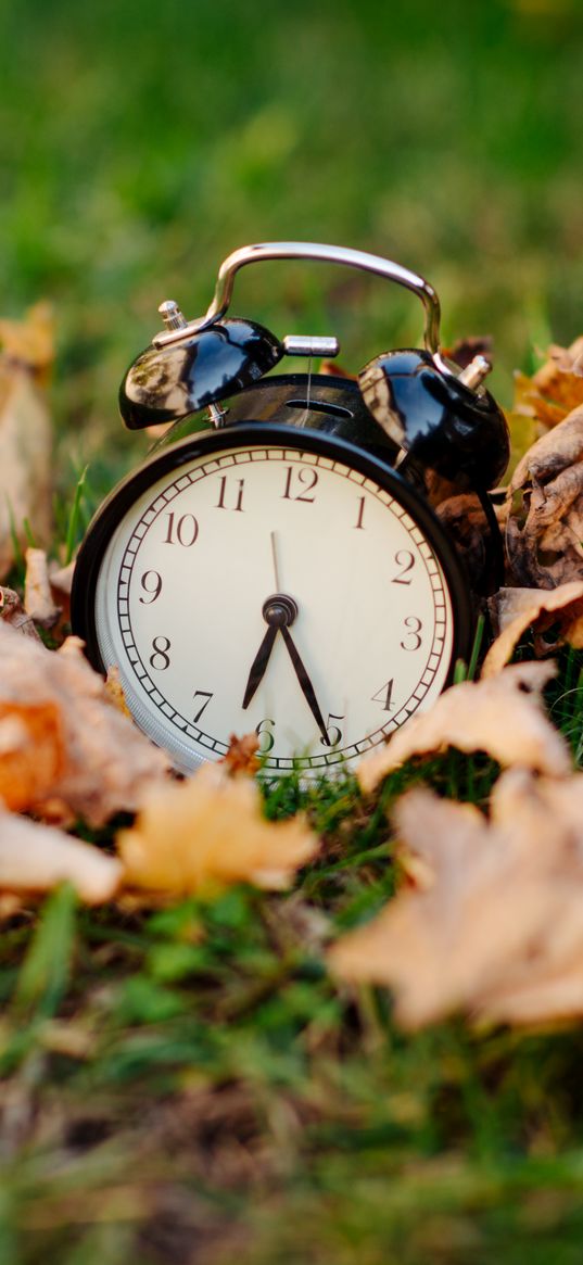 clock, alarm clock, time, fallen leaves, autumn