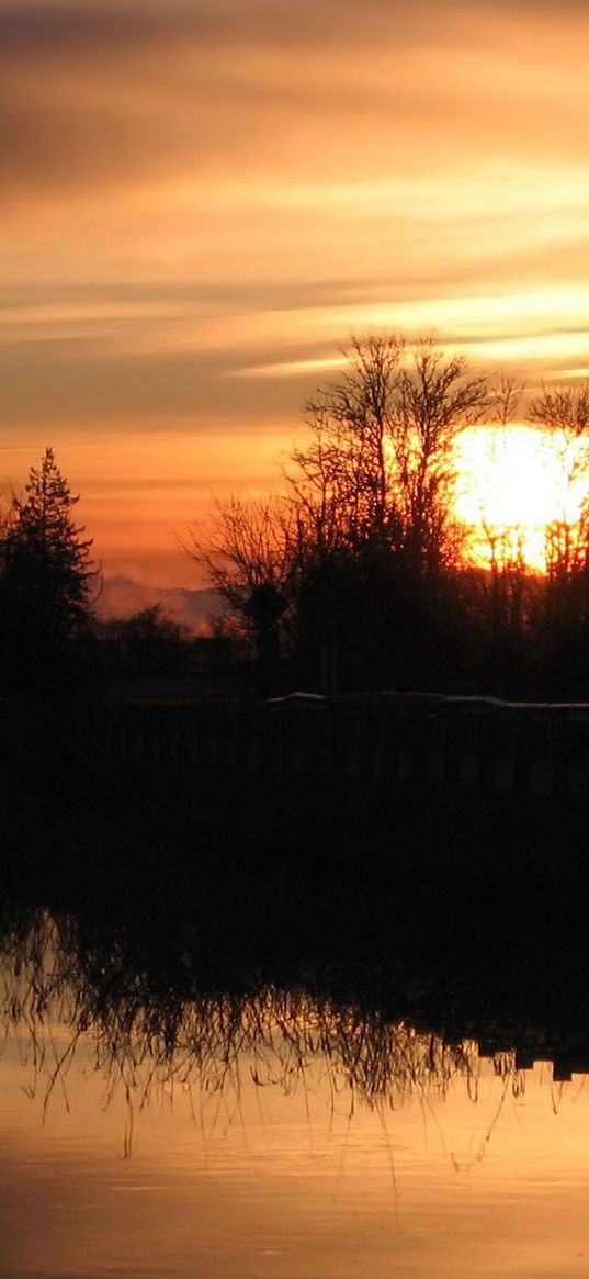 decline, orange, outlines, trees, bushes, reflection, sky