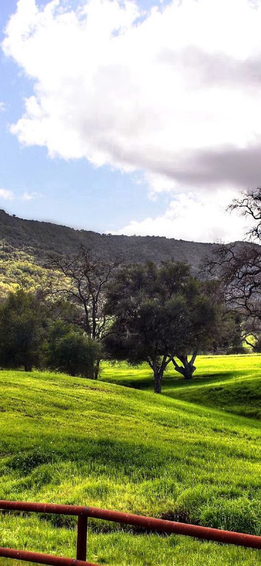 meadows, plain, fence, green, trees, clouds, mountains, valley, gray