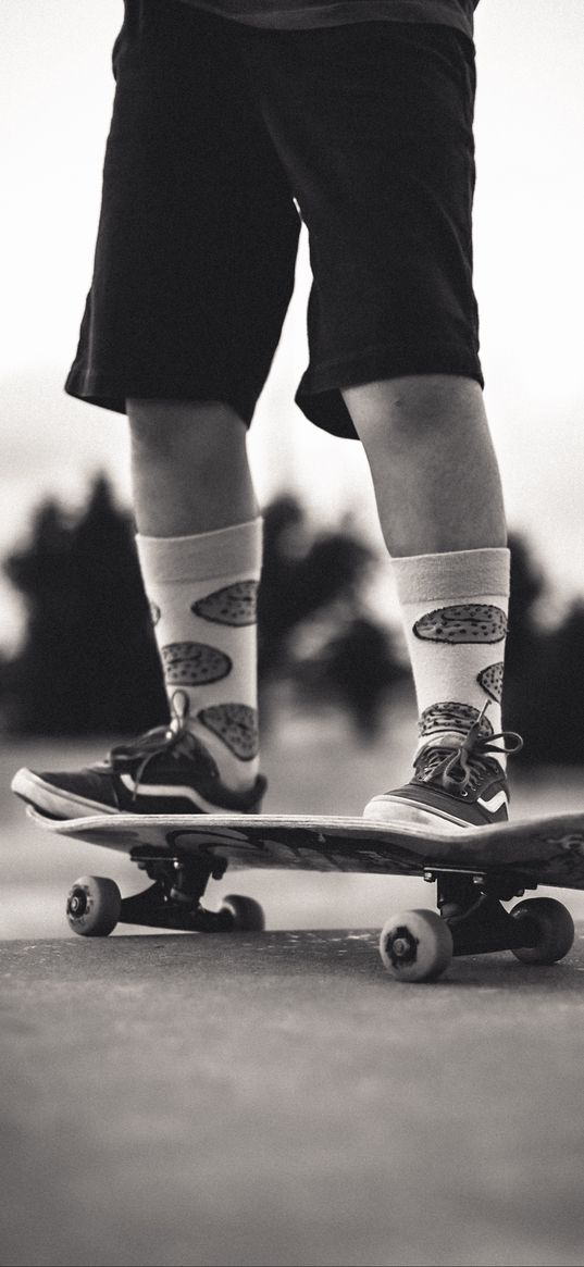 skateboard, skate, legs, skater, black and white