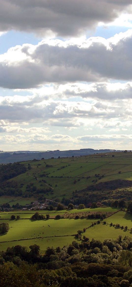 valley, meadows, green, slopes, grass, trees, height, fields