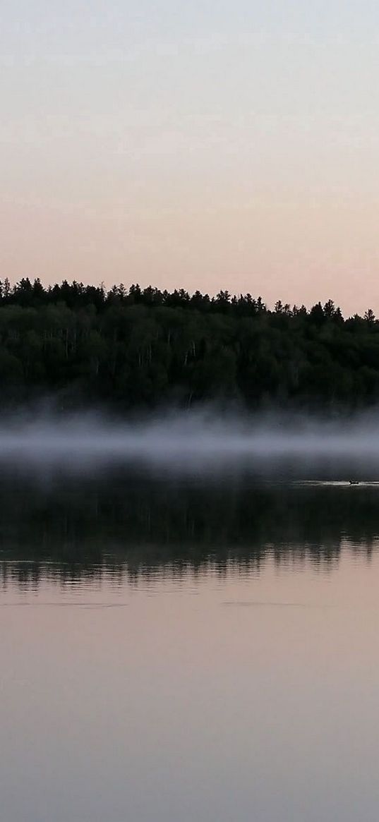 fog, surface of the water, trees, coast, evening, outlines