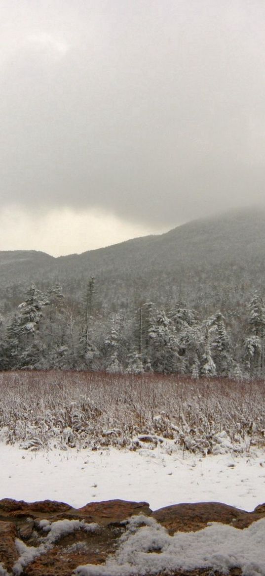 snowman, winter, mountains, trees, fog, clouds