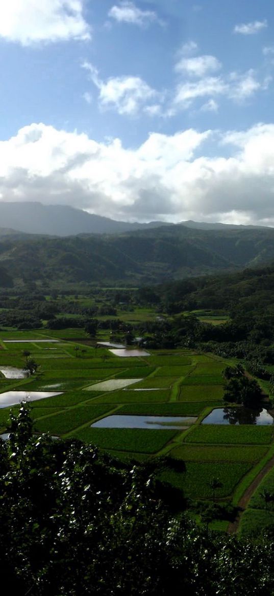 fields, water, agriculture, clouds, sky, mountains, height