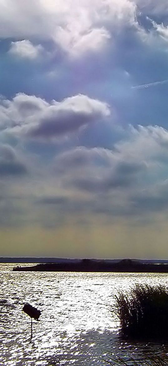 sky, clouds, water, thickets, canes, ripples