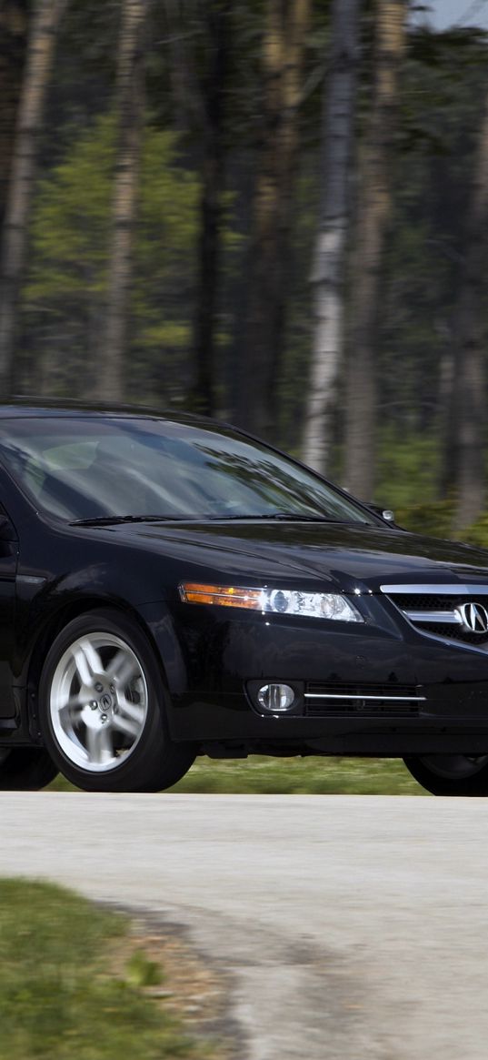 acura, tl, 2007, black, side view, style, cars, nature, forest, grass, asphalt