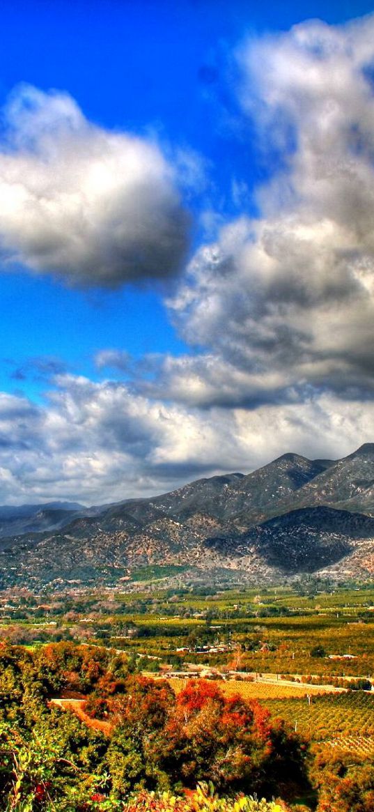 clouds, sky, mountains, flowers, paints, vegetation, grass