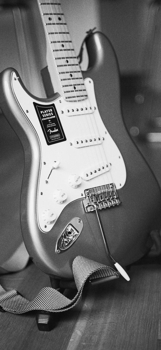 electric guitar, guitar, music, musical instrument, black and white