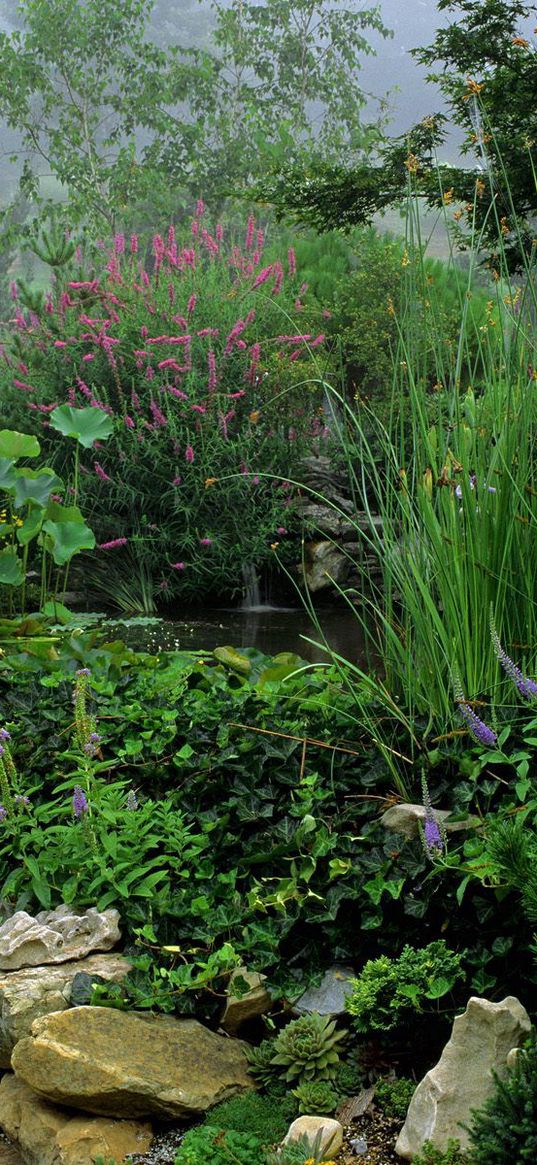 park, stones, water, vegetation, greens, flowers