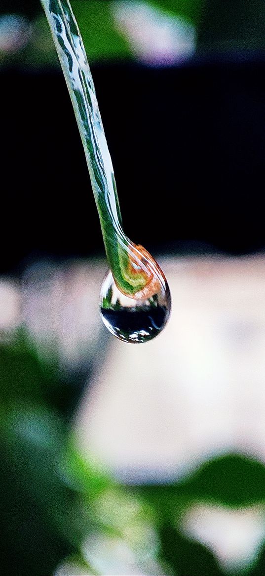 water drop, leaf, water, macro