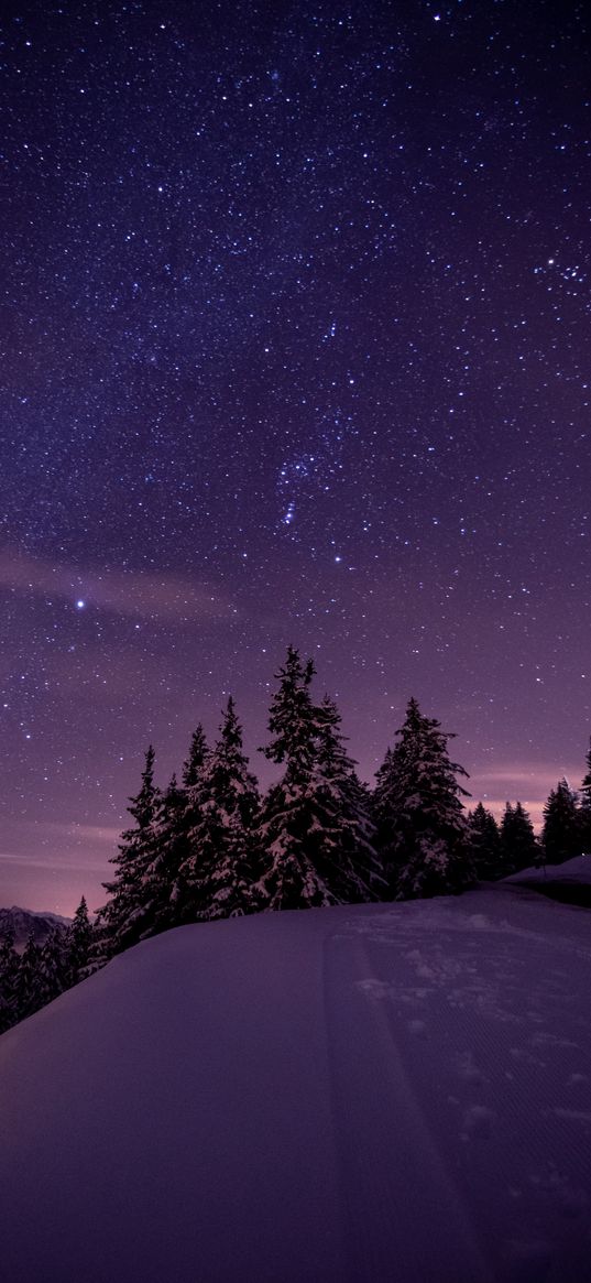 winter, night, snow, stars, starry night