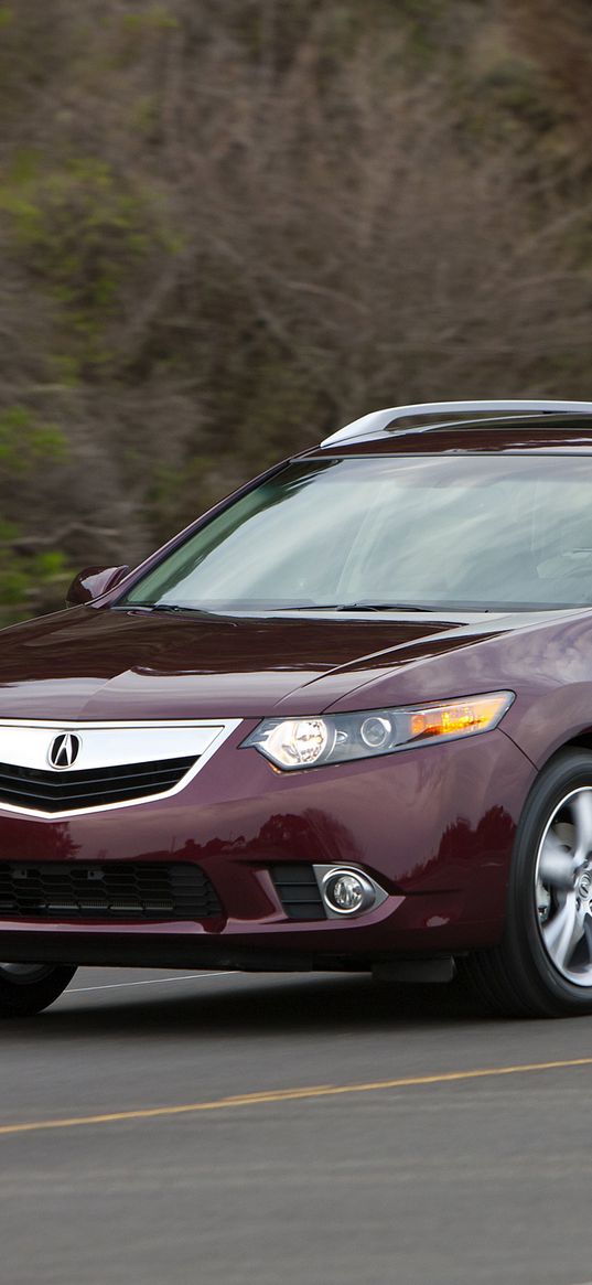 acura, tsx, 2010, burgundy, front view, style, cars, speed, road, trees