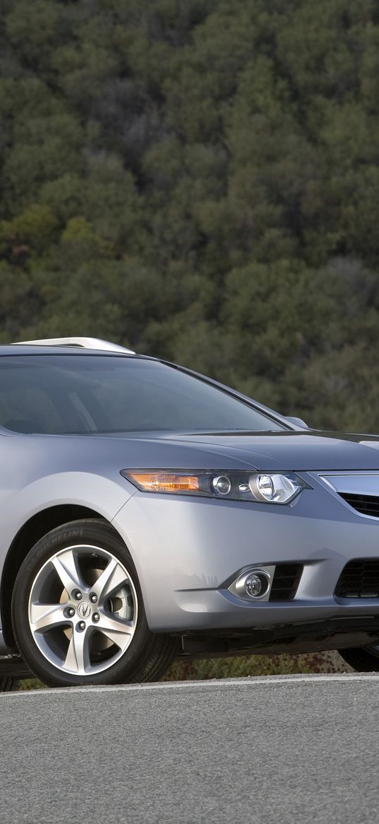 acura, tsx, 2010, metallic gray, side view, style, cars, trees, asphalt