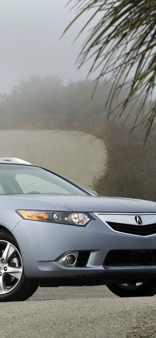 acura, tsx, 2010, blue, side view, style, cars, nature, shrubs, trees