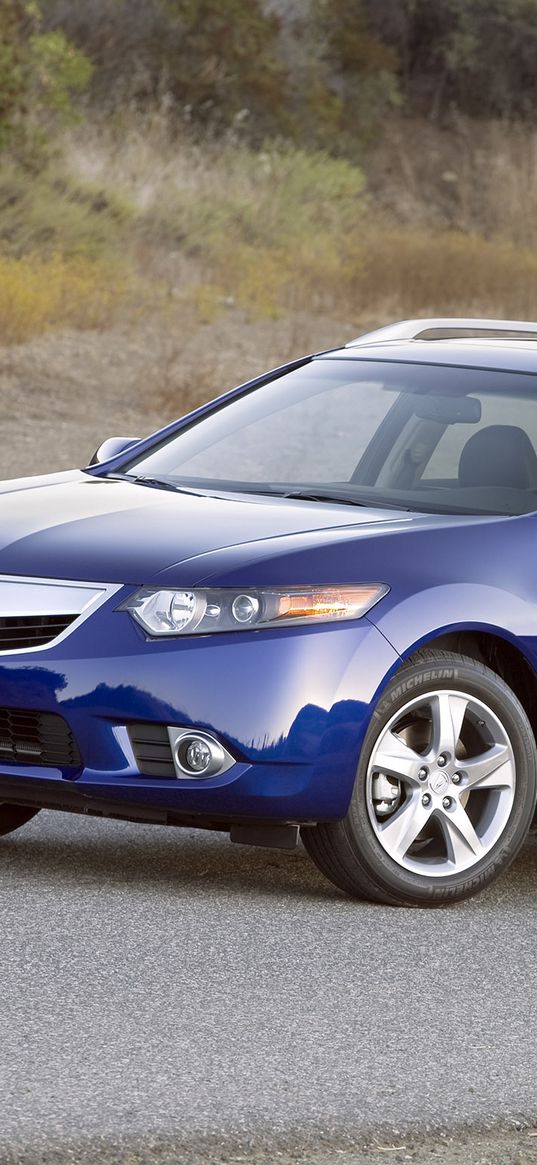 acura, tsx, 2010, blue, side view, style, cars, nature, grass, asphalt