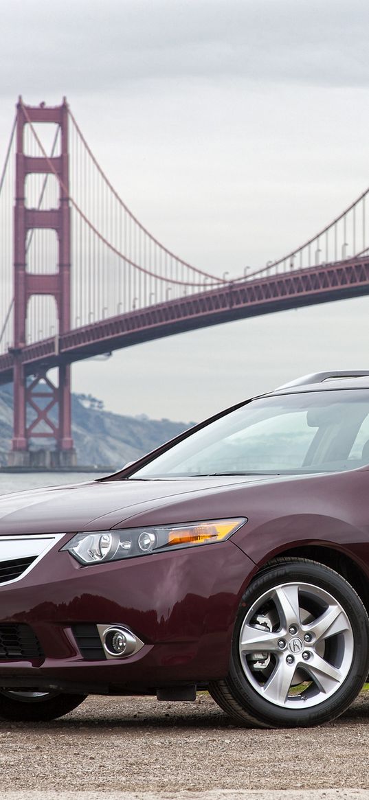 acura, tsx, 2010, cherry, side view, style, road, bridge, water, grass, gravel