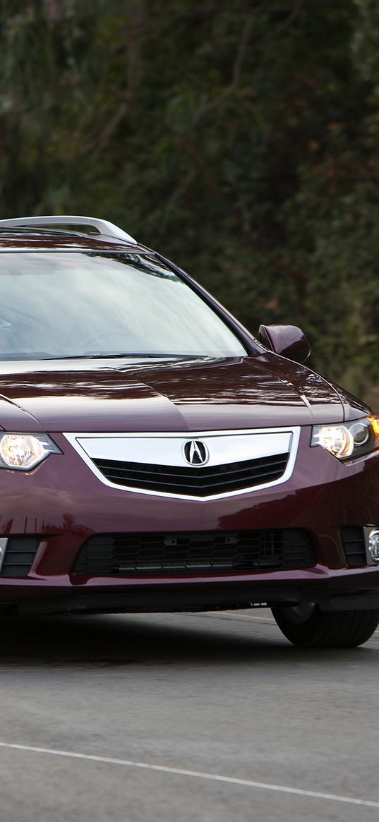 acura, tsx, 2010, cherry, front view, style, cars, nature, trees, speed, asphalt