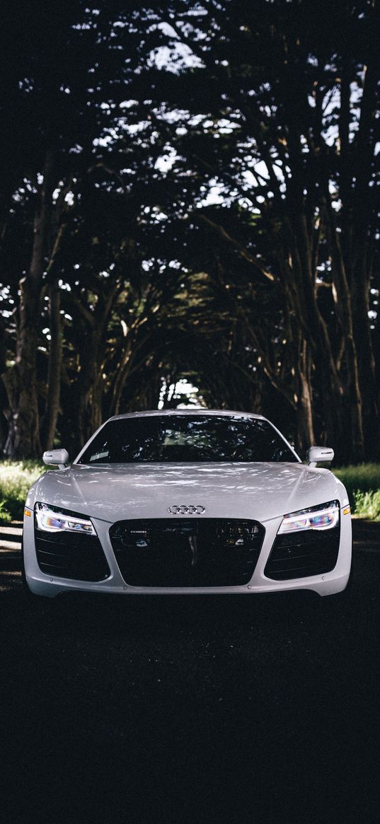 audi r8, audi, car, white, trees