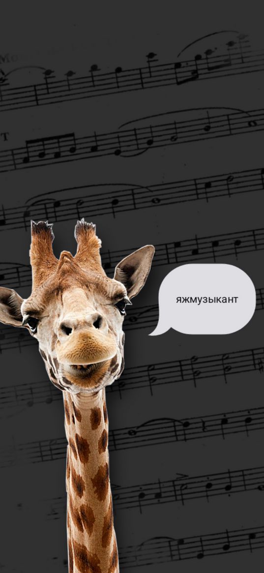 giraffe, music, notes, muse