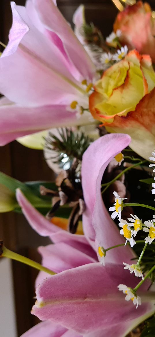 bouquet, rose, lilies, camomiles, flowers