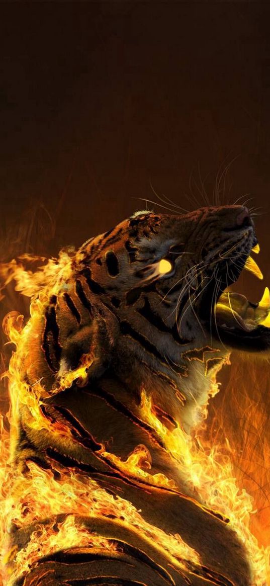 tiger, fire, fangs, grin, glowing eyes