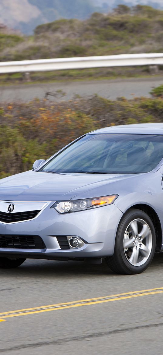 acura, tsx, 2010, blue, side view, style, cars, speed, clouds, bushes, road