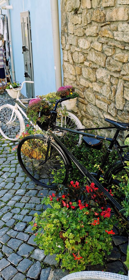 bikes, flowers, flower bed, beauty