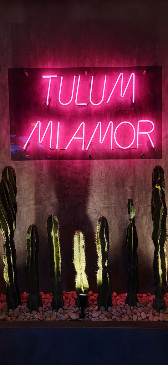 neon sign, cacti, plants, minimalism