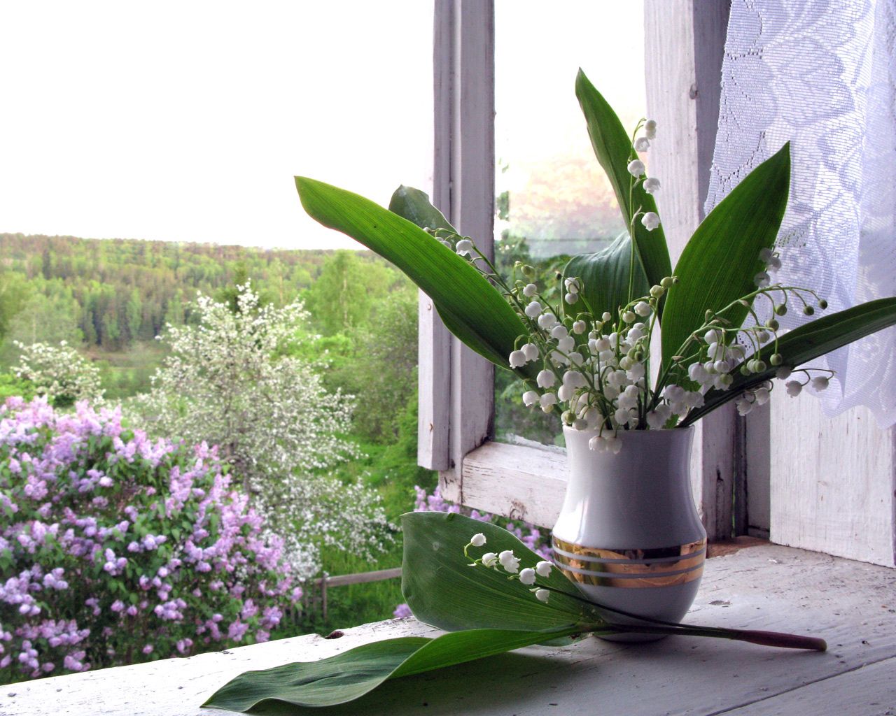 lilys of the valley, vase, lilac, window, sill, spring