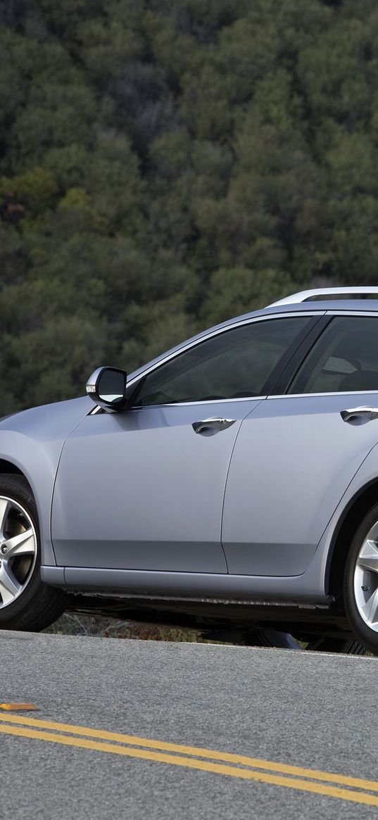 acura, tsx, 2010, blue, side view, style, cars, nature, trees, asphalt