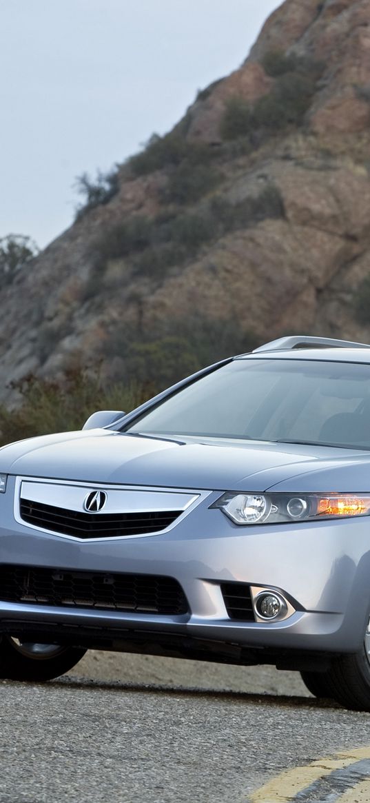 acura, tsx, 2010, blue, front view, style, cars, shrubs, rock, sky, asphalt