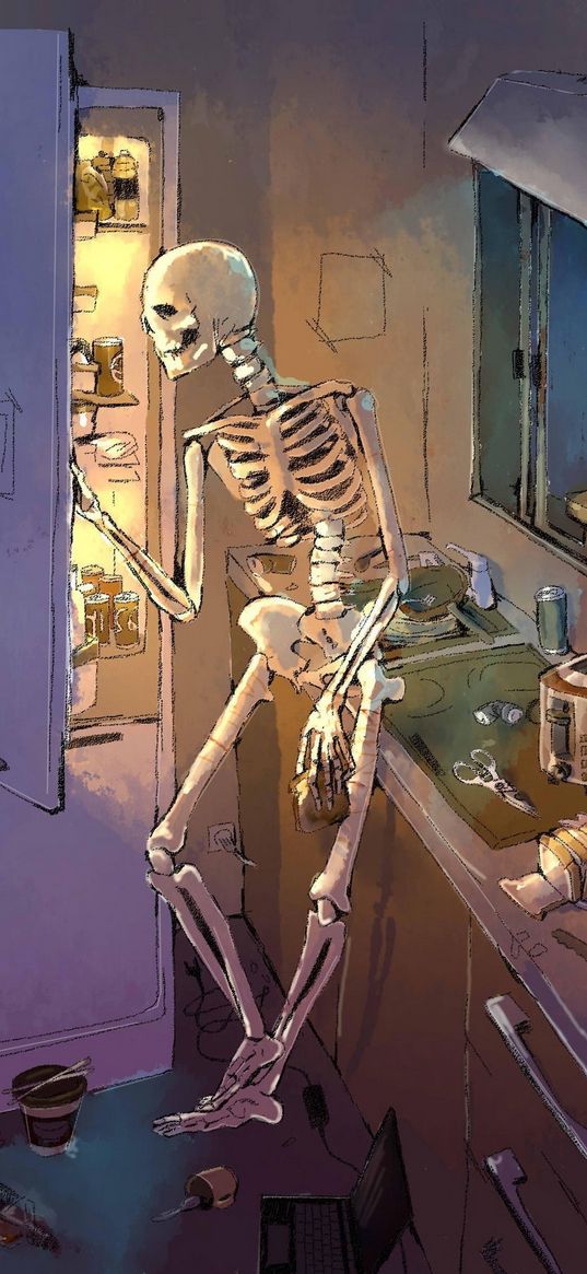 skeleton, kitchen, house, night, mess