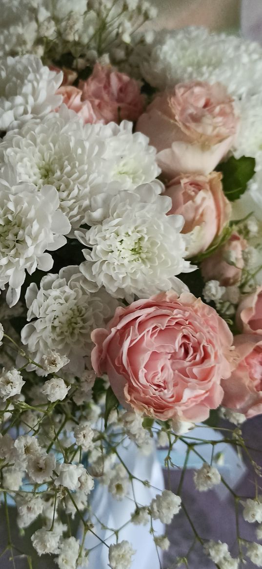 roses, flower, chrysanthemum, mums, bouquet