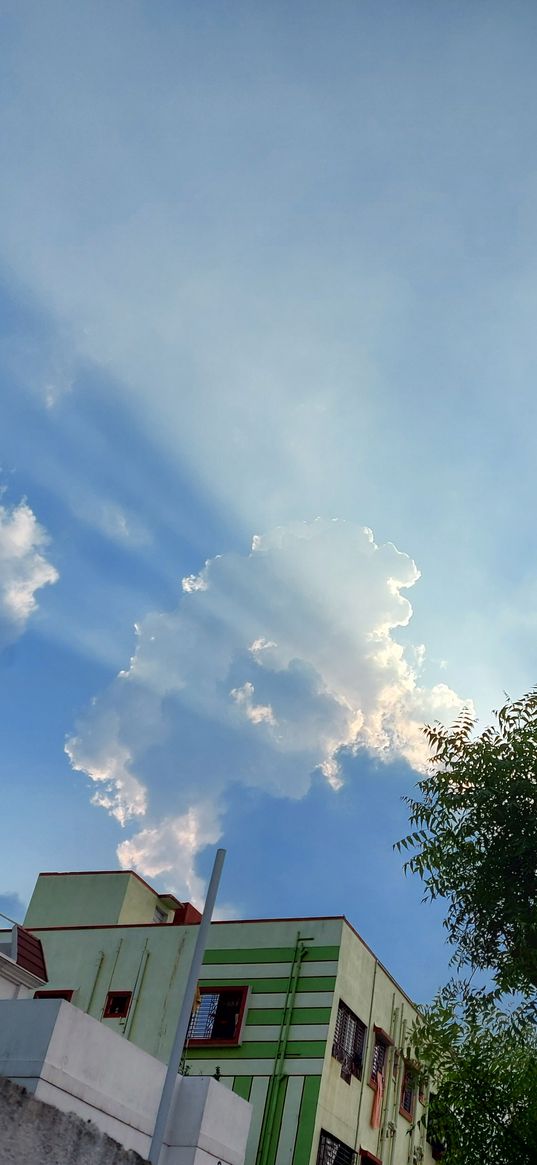 blue sky, building, sun, city, tree