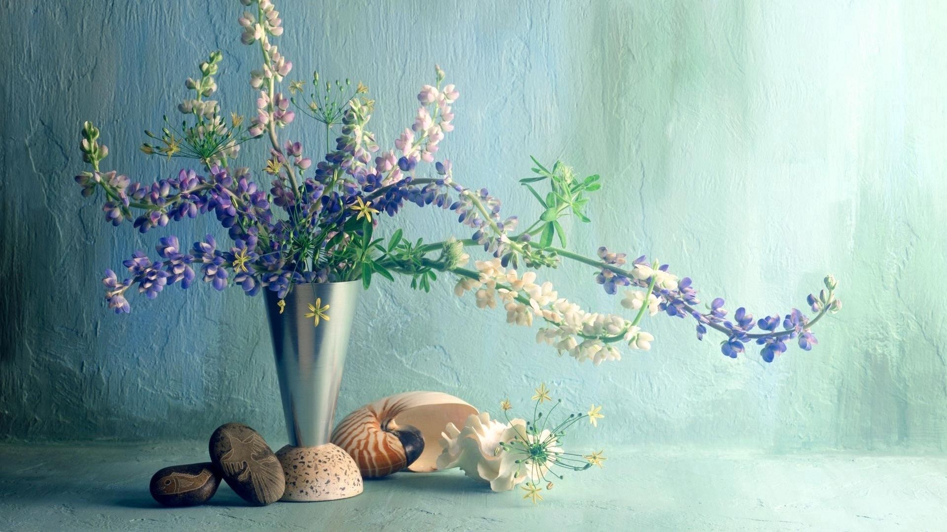 lupines, flower, vase, wall, shell