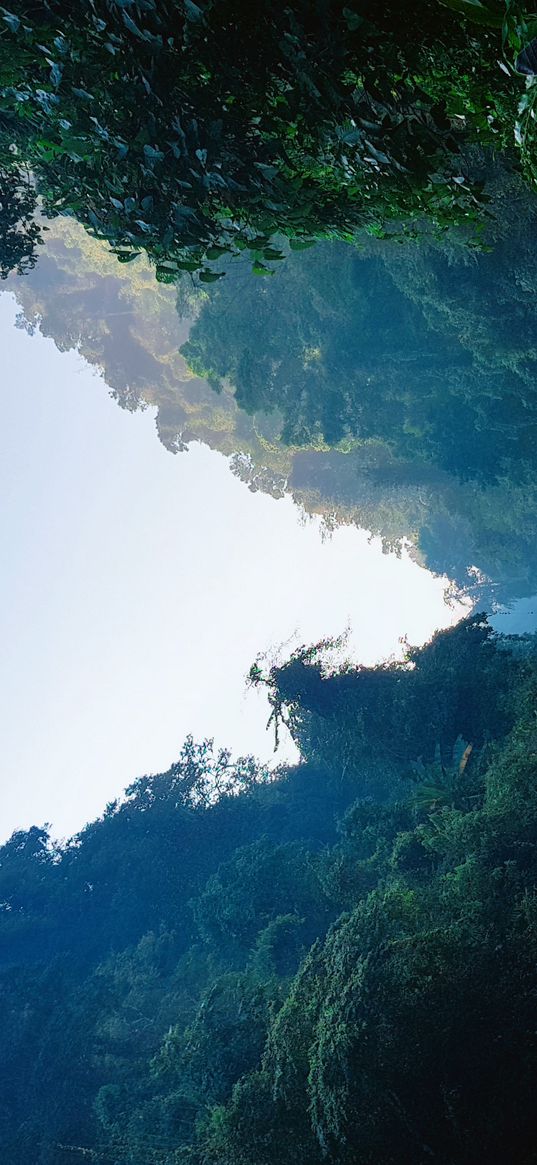 bandarban, bangladesh, trees, stones, water