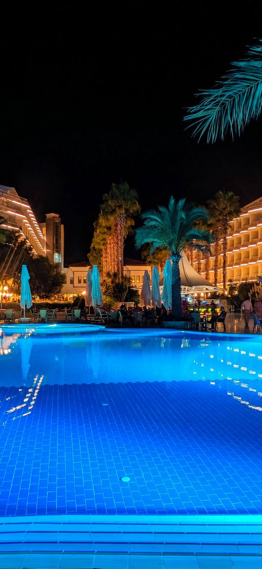 pool, hotel, palm tree