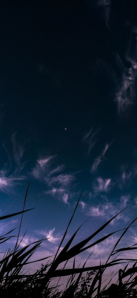 sky, grass, dark wallpaper, clouds